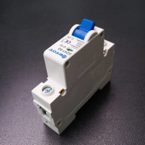 Aptomat DZ47-63 1PC10  bảo vệ chống ngắn mạch quá tải chính hãng  - ETOT