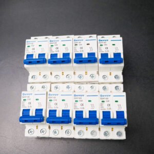 Aptomat DZ47‑63 2P  bảo vệ chống ngắn mạch quá tải chính hãng  - ETOT
