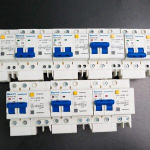 Aptomat DZ47LE-63 2P  bảo vệ chống ngắn mạch quá tải chính hãng  - ETOT
