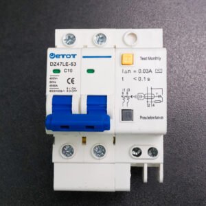 Aptomat DZ47LE-63 2PC10  bảo vệ chống ngắn mạch quá tải chính hãng  - ETOT