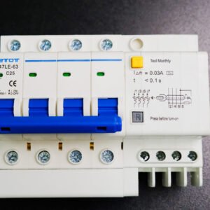 Aptomat DZ47LE-63N 4PC25  bảo vệ chống ngắn mạch quá tải chính hãng  - ETOT